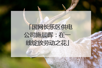 国网长乐区供电公司施晨晖：在一线绽放劳动之花